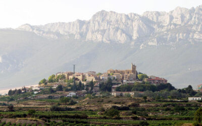 Rutas del vino en La Rioja: guía completa por sus tres zonas