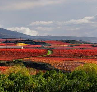 ¿Qué hacer en La Rioja Alta? Actividades y enoturismo. ¿Qué hacer en La Rioja Alta? Actividades y enoturismo.
