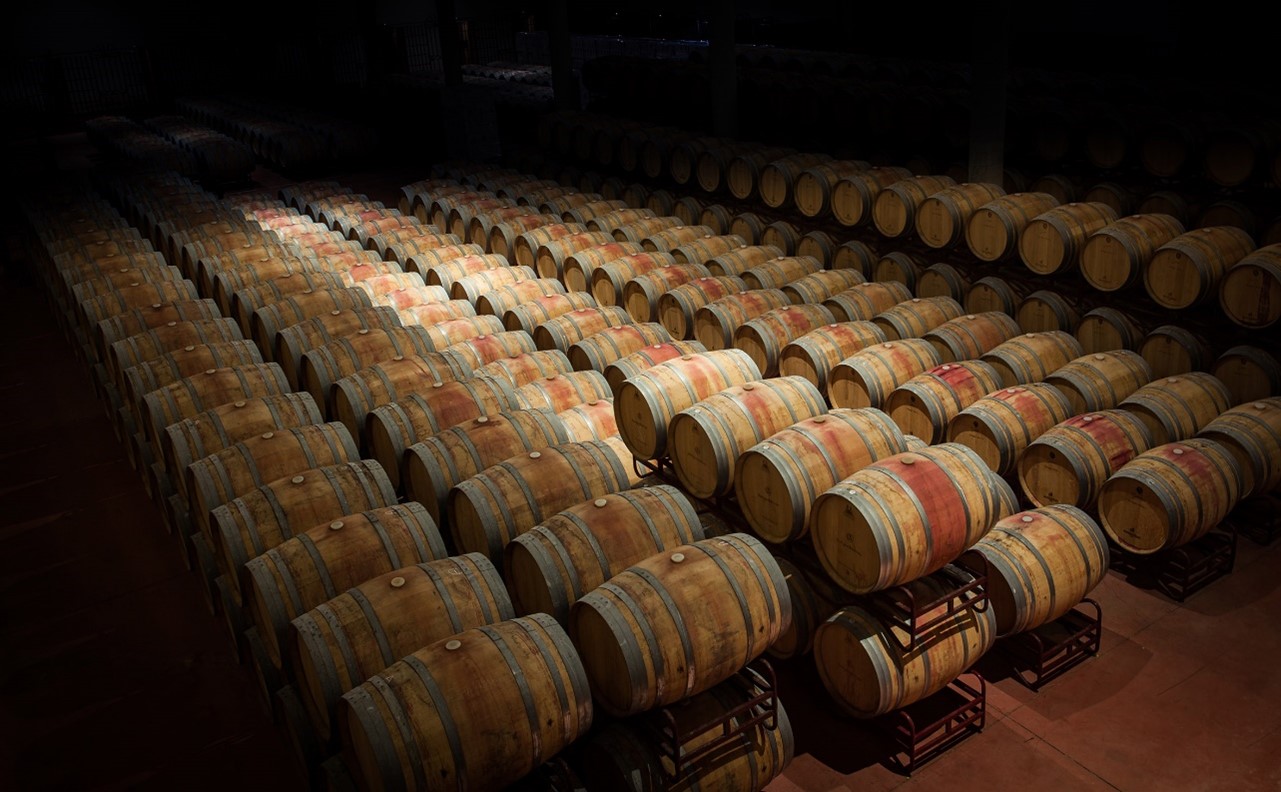 bodegas que no te puedes perder en Logroño