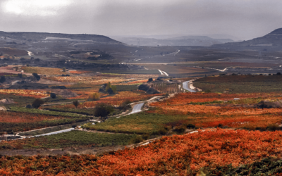 Qué ver en Haro, la capital del Rioja