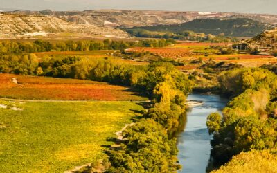 Qué hacer en La Rioja: los mejores planes para tu escapada enoturística