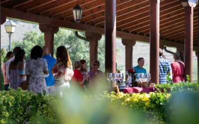 Comidas típicas de La Rioja