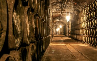 Las 5 bodegas más antiguas de España