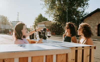 ¿Cómo aprender de vino desde cero?