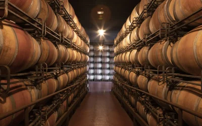 Gift ideas: wine tourism experiences