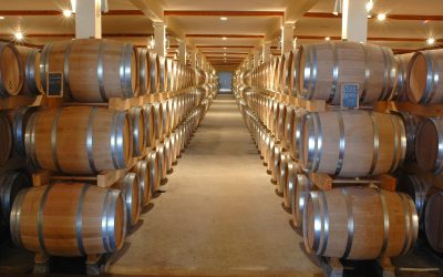 Cómo se hace el vino, paso a paso