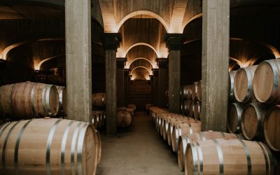 Ruta del Vino en La Rioja: Guía Completa para Planificar tu Visita a Bodegas en 2026