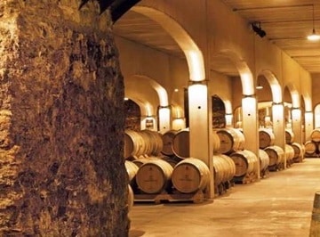 visita Viña Ijalba en rioja alta