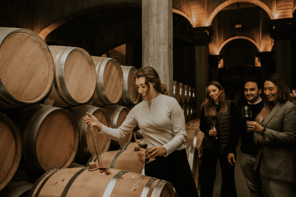 visita bodegas ontañón en la rioja alta