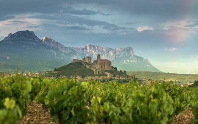 Mejor época para hacer enoturismo en La Rioja